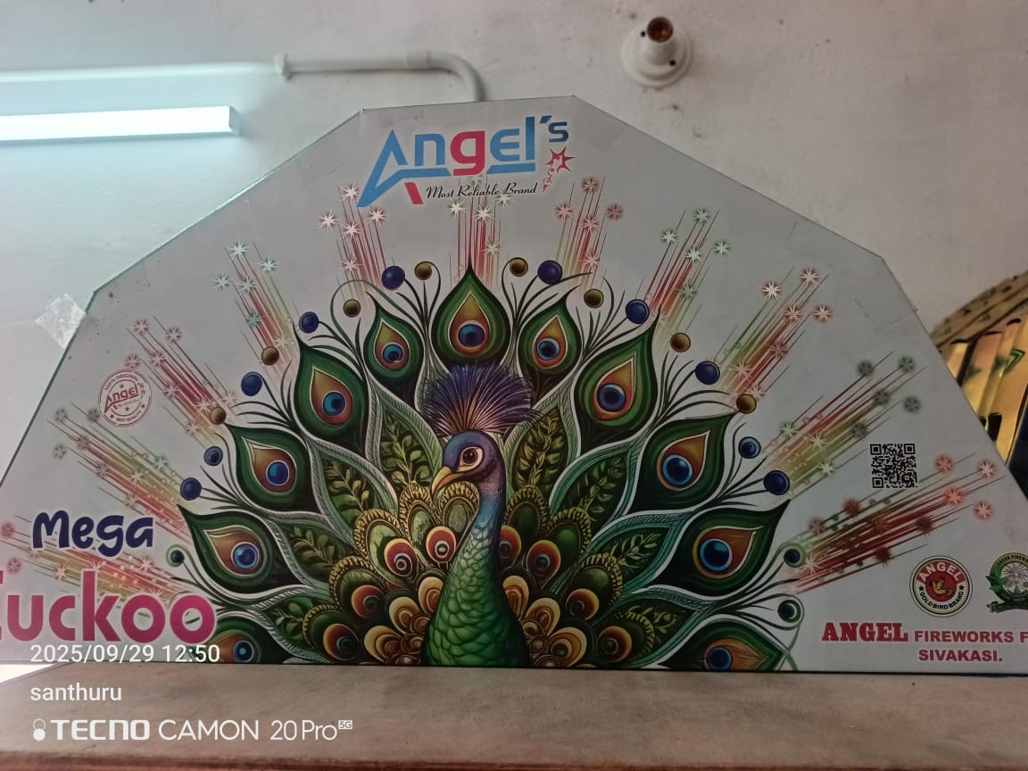 Ragavendra Crackers Bada Peacock (Mega)